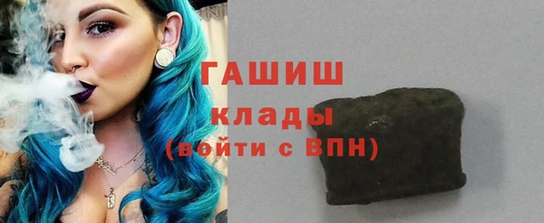 соль ск Дмитриев