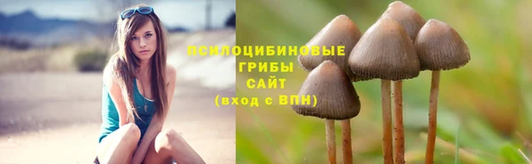 бошки Вязьма