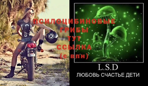 a pvp Вязники