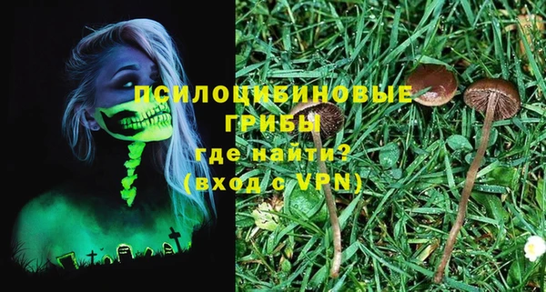бошки Вязьма