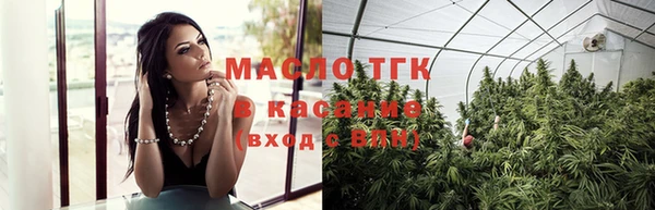 соль ск Дмитриев