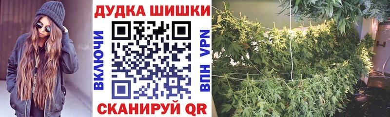 Каннабис VHQ блэк спрут Зверево как найти закладки